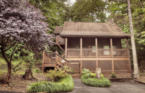 ER206 - Mountain Rendezvous Great location - Close to town! cabin
